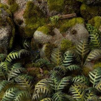 LASER PLANTS - BRACKEN