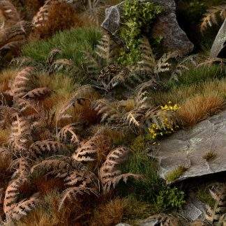 LASER PLANTS - DRY BRACKEN