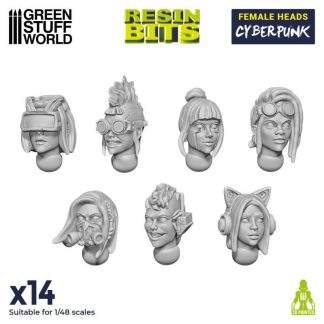 FEMALE HEADS CYBERPUNK 14X