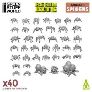 Small Spiders