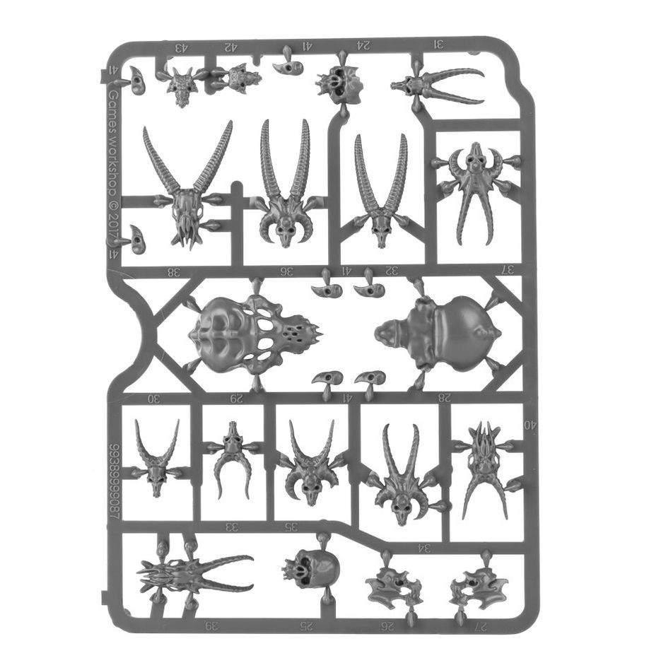 CITADEL SKULLS - Image 2