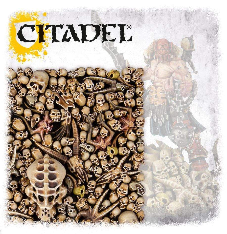 CITADEL SKULLS - Image 6