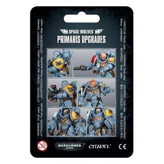 SPACE WOLVES PRIMARIS UPGRADES