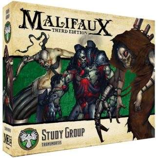STUDY GROUP