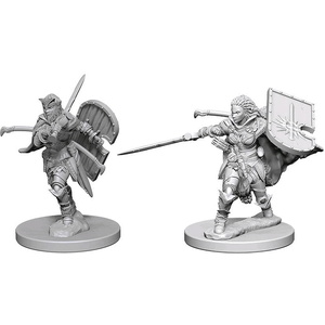 PATHFINDER DEEP CUTS - HUMAN FEMALE PALADIN