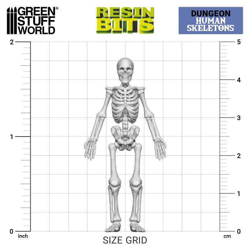 3D printed set - Human Skeletons 1:48 - Bild 4