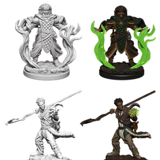 D&D NOLZUR MUM HUMAN MALE DRUID