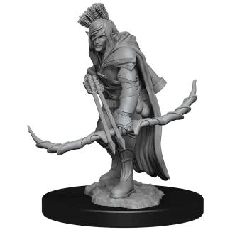 D&D NOLZUR MUM ELF MALE RANGER