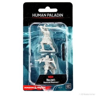 D&D NOLZUR MUM HUMAN MALE PALADIN
