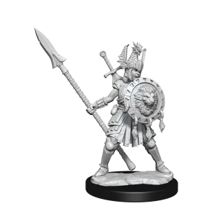 D&D FRAMEWORKS HUMAN FIGHTER