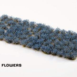 BLUEBEARD FLOWERS