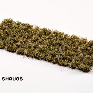 DRY GREEN SHRUBS
