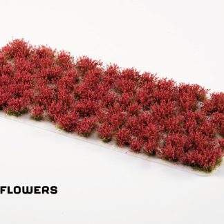 LALIGURAS FLOWERS