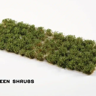 STRONG GREEN SHRUBS