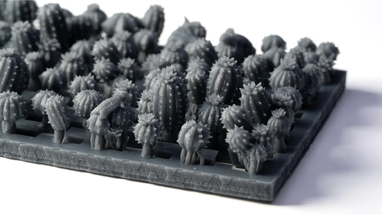 BASING BITS - BARREL CACTI - Bild 4