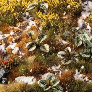 LASER PLANTS - BUGLOSS